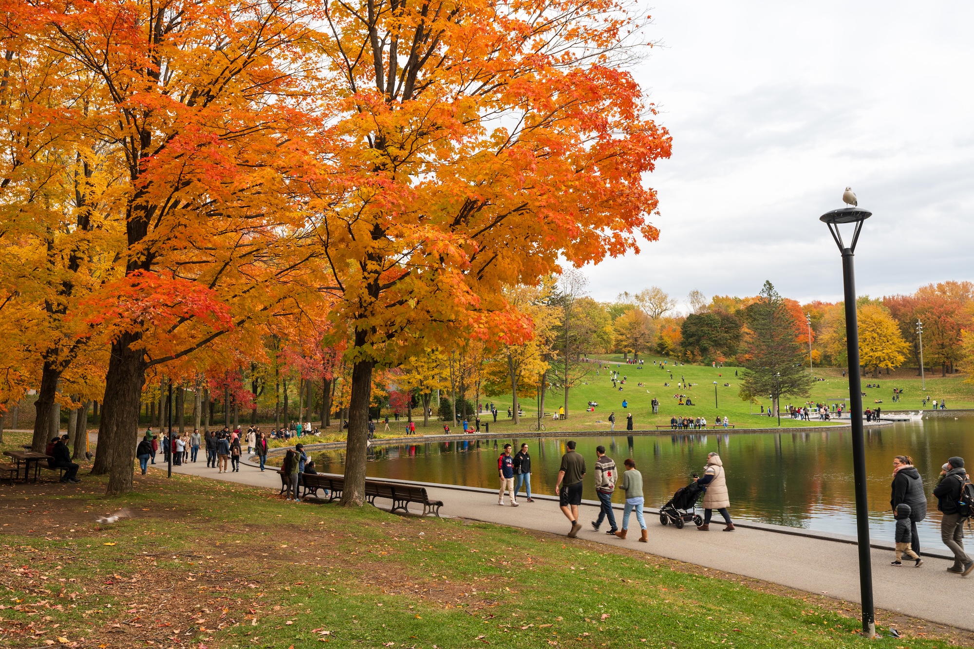best fall travel destinations