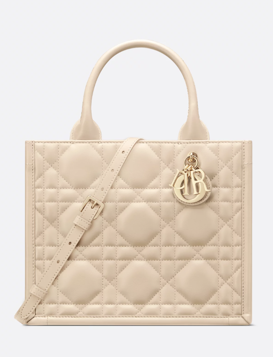 Dior, Small Dior Book Tote