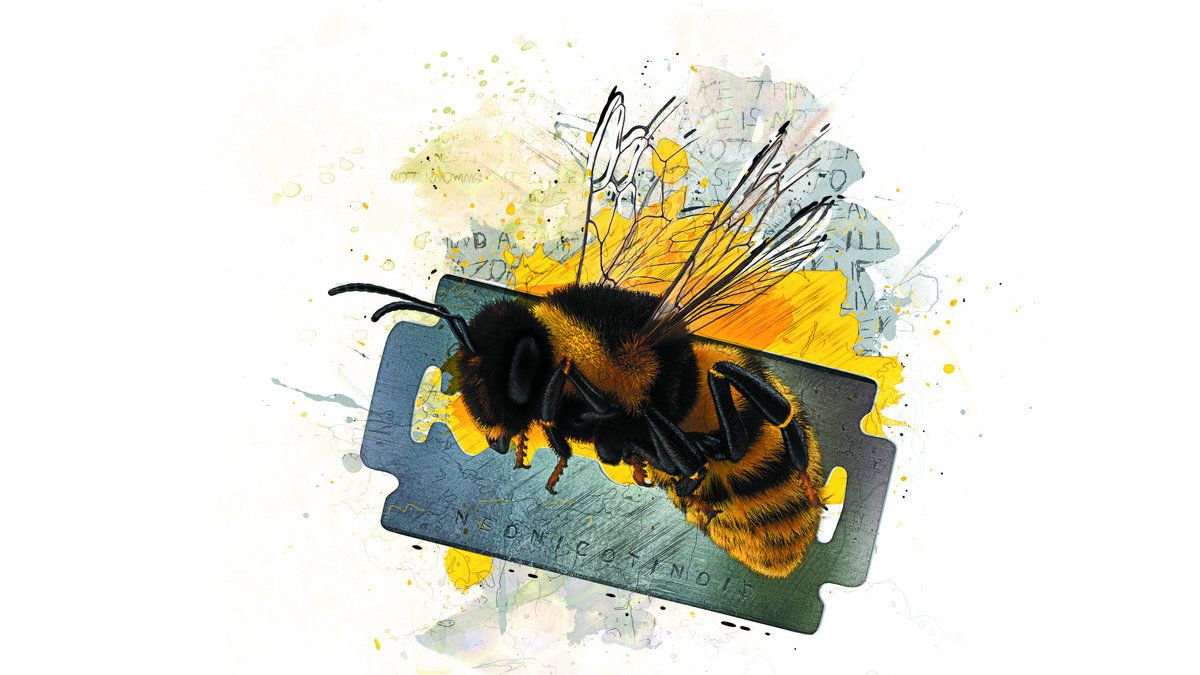 Alan Reed Honey On The Razor’s Edge album review Louder