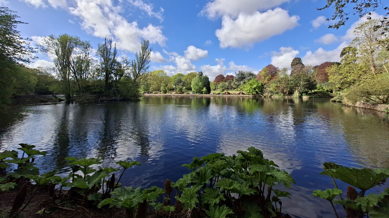 Samsung Galaxy A57 review camera sample