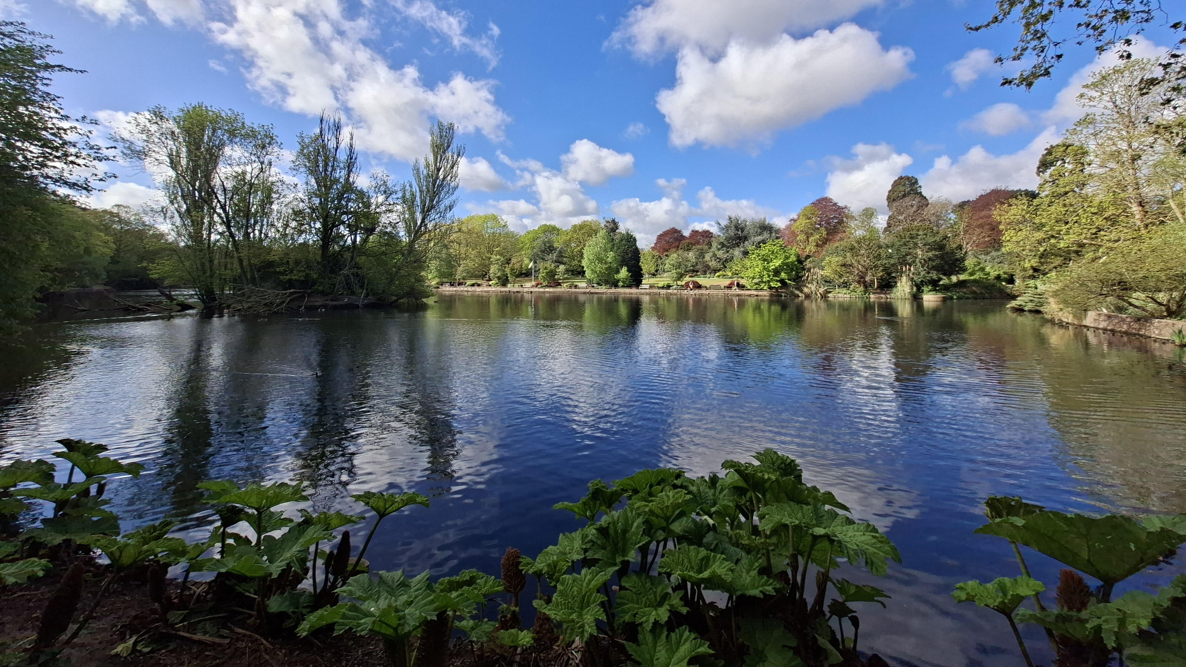 Samsung Galaxy A57 review camera sample