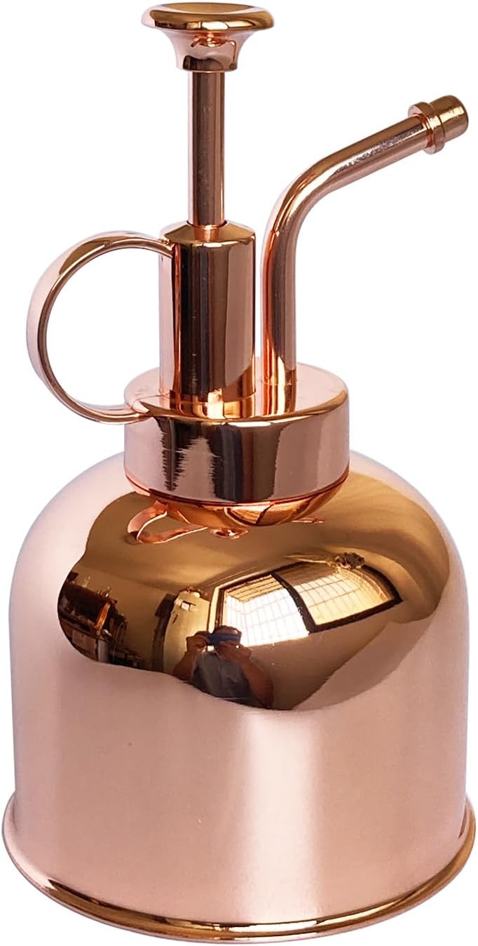 Lianshi Plant Mister Spray Bottle Stainless Steel Plant Sprayer, Small Watering Can Plant Spray Bottle Modern Gardening Tools for Indoor Potted Plants Watering and Spraying