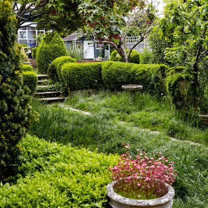 11 plants that increase property value, according to experts | Ideal Home