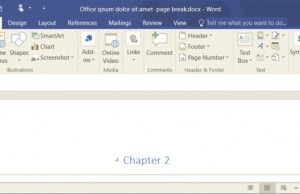 how to remove section break in word 2016 for windows