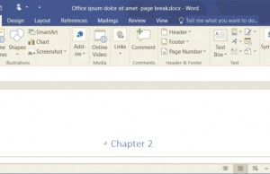 how insert page break in word