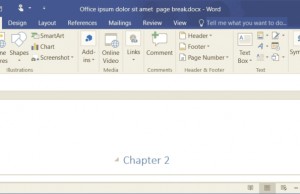 format page numbers in word mac 2016