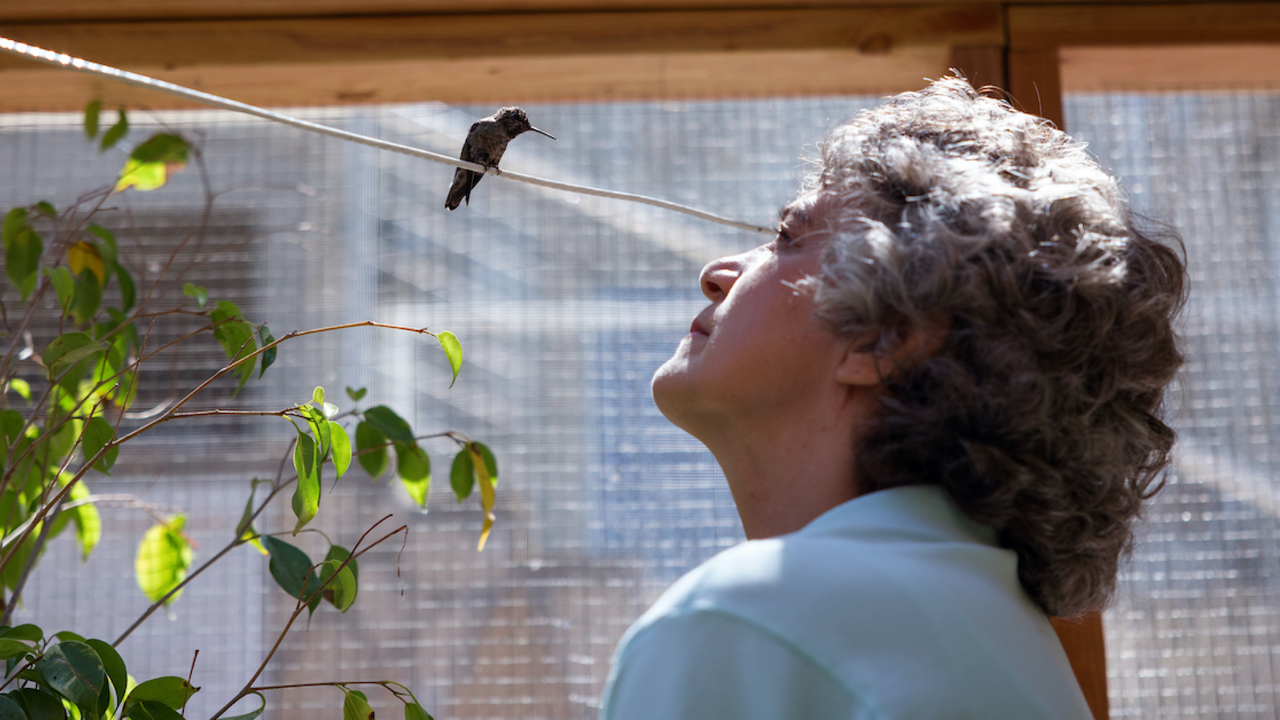 an older woman looks up at a hummingbird on a wire in a still from the documentary every little thing