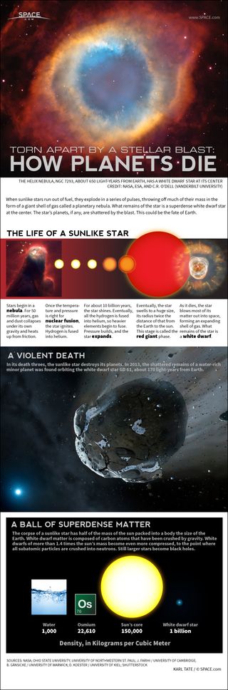 Sunlike stars eventually become a compact body called a white dwarf, destroying its planets in the process. See how the death of the sun will destroy Earth in this SPACE.com infographic.