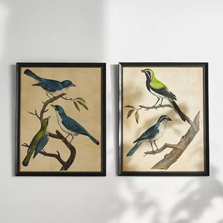 Two prints of birds perched on branches