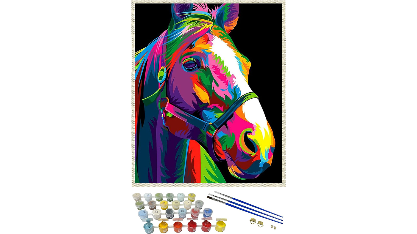 Painting By Numbers Kit