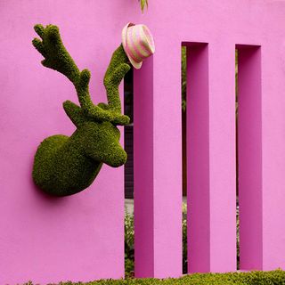 pink wall with reindeer head on it