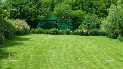 Backyard with healthy green grass to show the results of avoiding common lawn care mistakes