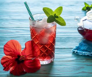 Hibiscus iced tea with flower and teapot