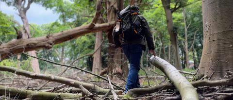 Lowepro PhotoSport X backpack in the woods