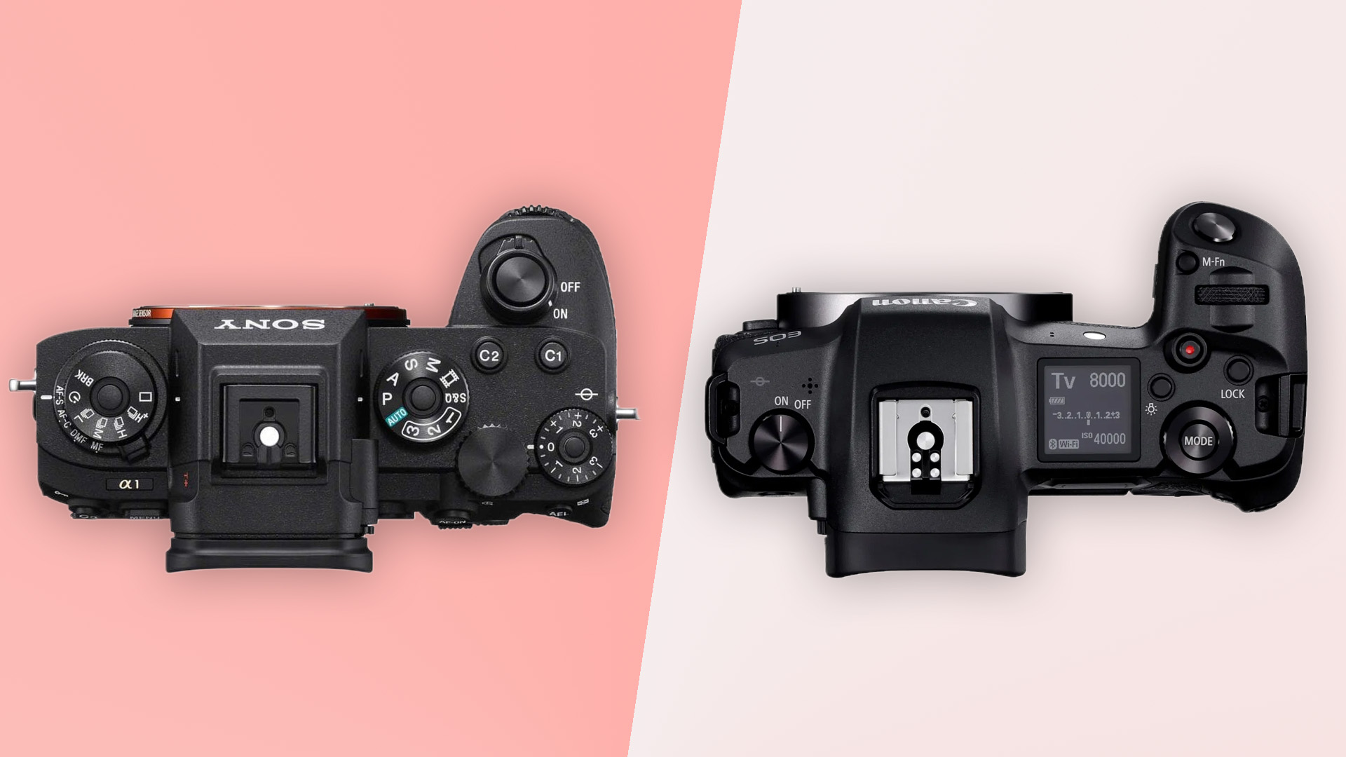 Sony A1 vs Canon EOS R5