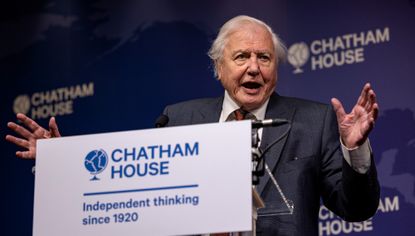 David Attenborough delivers a speech as he receives the Chatham House Centenary Lifetime Award in 2021 