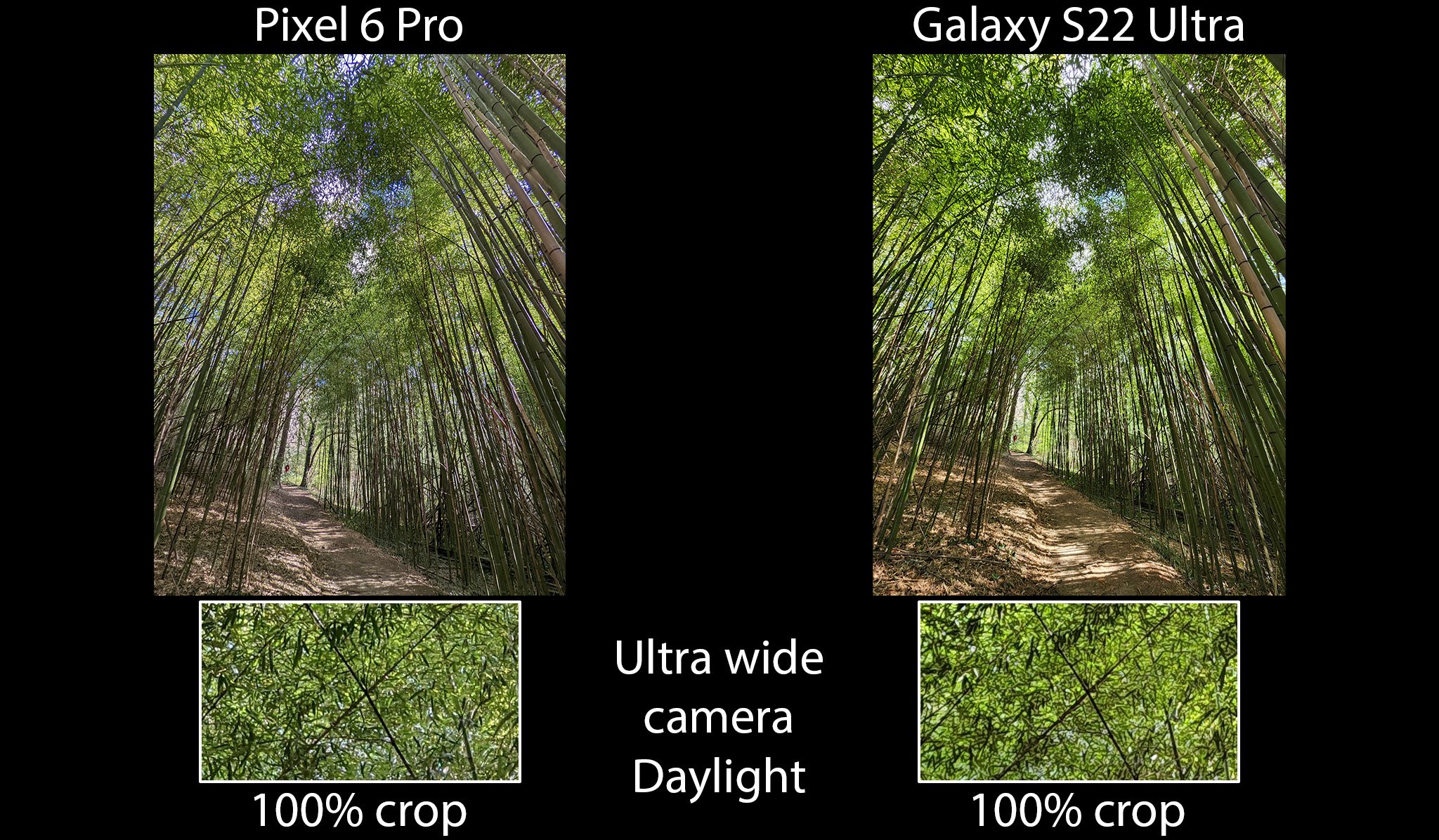 Galaxy S22 Ultra Vs Pixel 6 Pro Ultra Wide