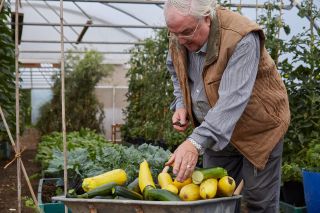 Medwyn Williams of Anglesey arranges his vegetables