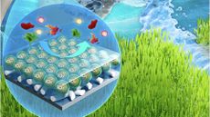 An illustration of a series of round spheres inside a larger blue bubble next to bright green grass.