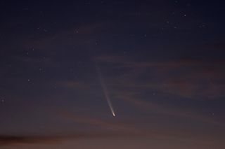 the comet appears as a bright nucleus followed by a long white tail against the early morning sky which is partly cloudy.