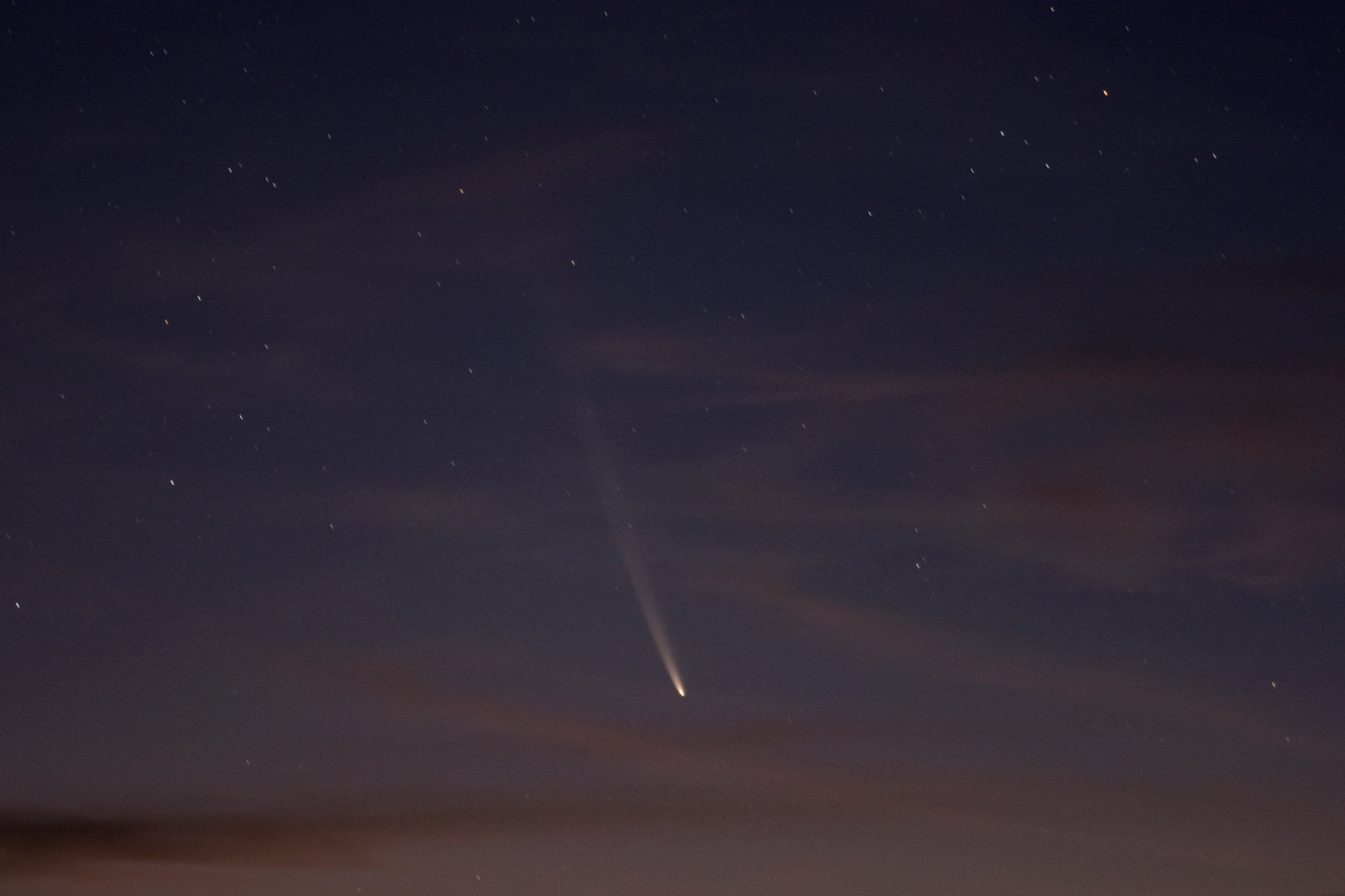 the comet appears as a bright nucleus followed by a long white tail against the early morning sky which is partly cloudy.