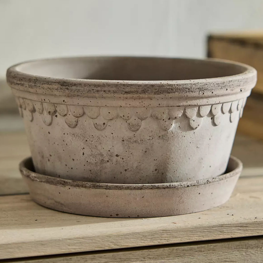 Terracotta clay bowl planter