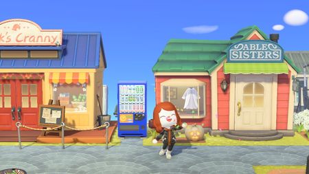 Animal Crossing Ordinances Guide