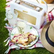 Blanket on grass with cake on plate, hat and radio.