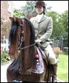 horsesimulatorth.jpg