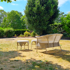 Wicker furniture, including a chair and table, sits in a garden with yellow lawn 