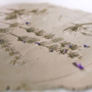 lavender impressions on clay