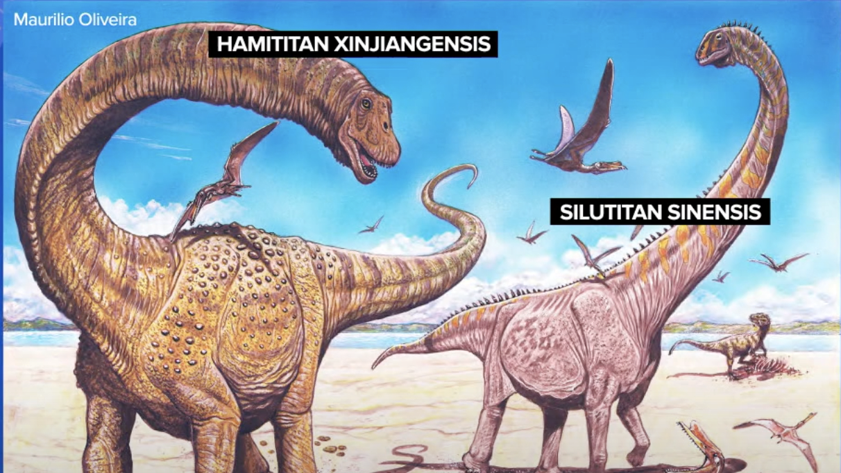2 massive new dinosaur species discovered in China | The Week