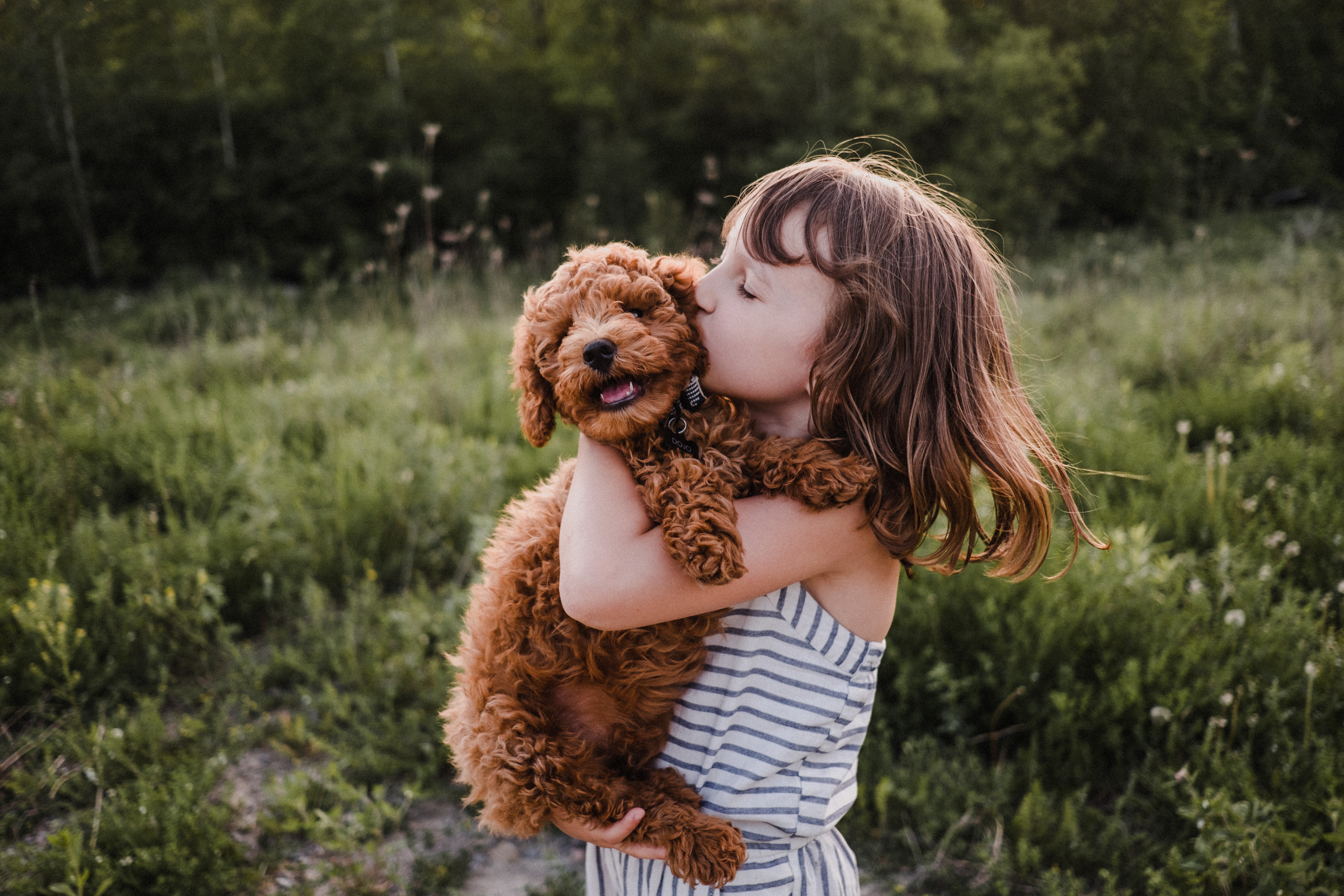 A little girl kisses a puppy in an outdoor photo