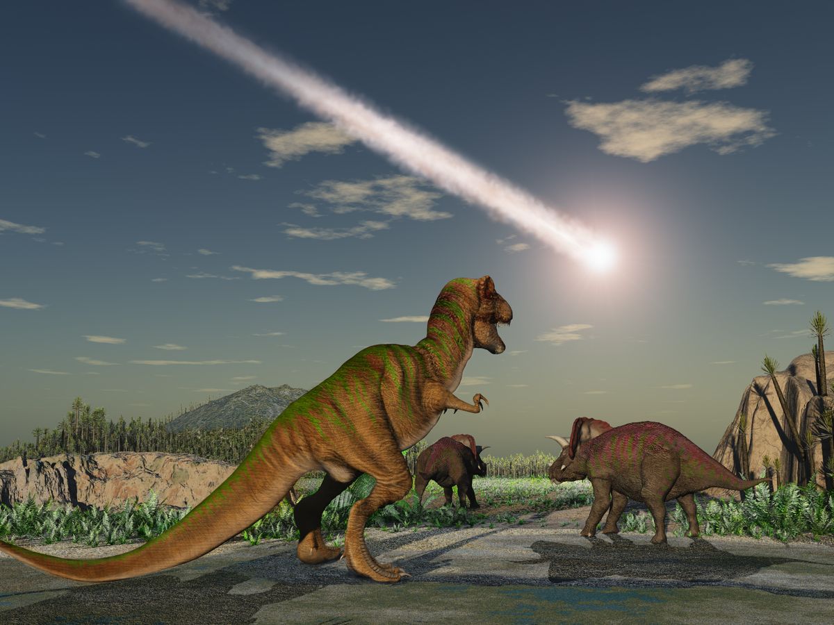 Dinosaur asteroid's trajectory was 'perfect storm