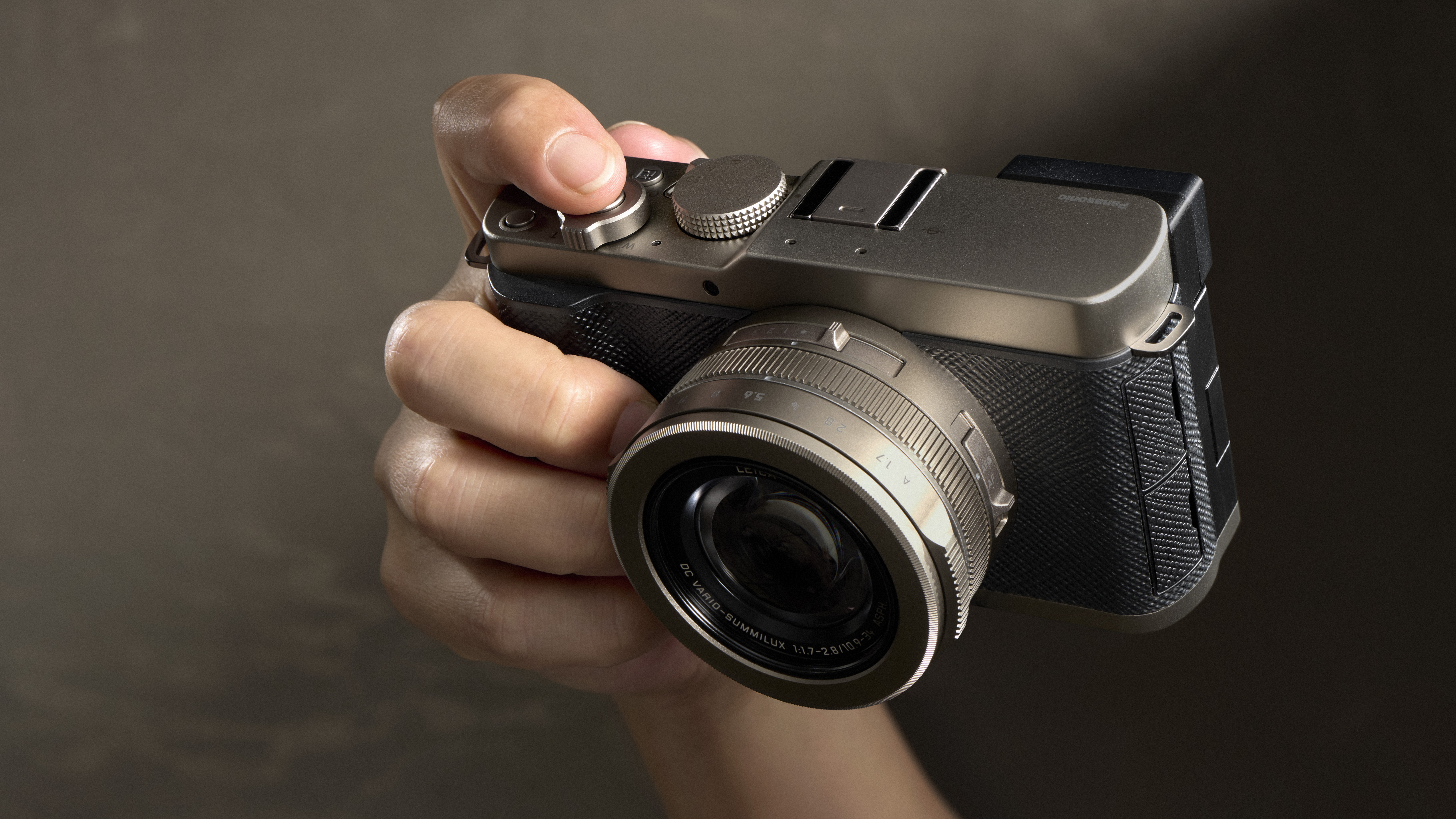 Lumix L10