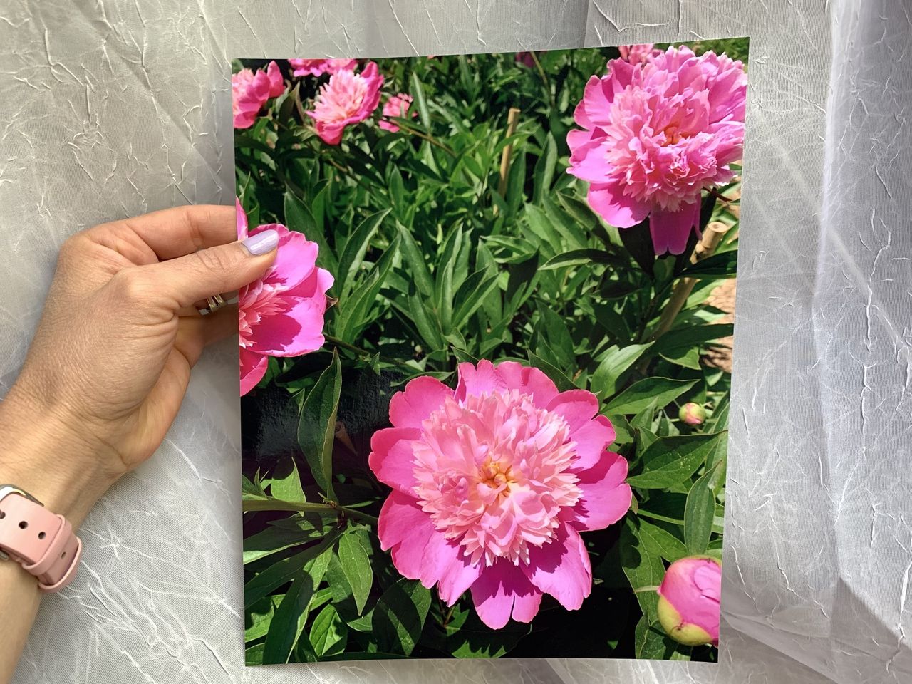 Mixbook Photo Printing 8x10 photo