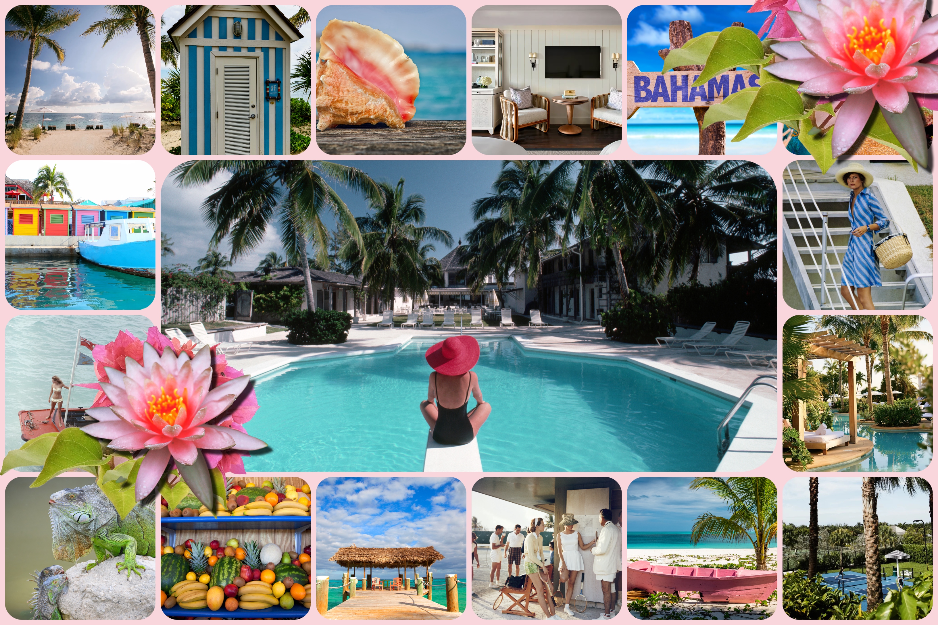 Tropical guide