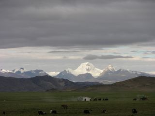 tibetan plateau oldest prints