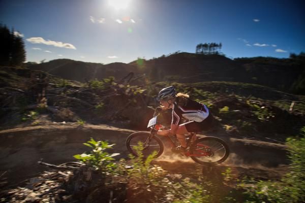Sculpted berms, made for railing - courtesy of Rotorua's world-class trail builders