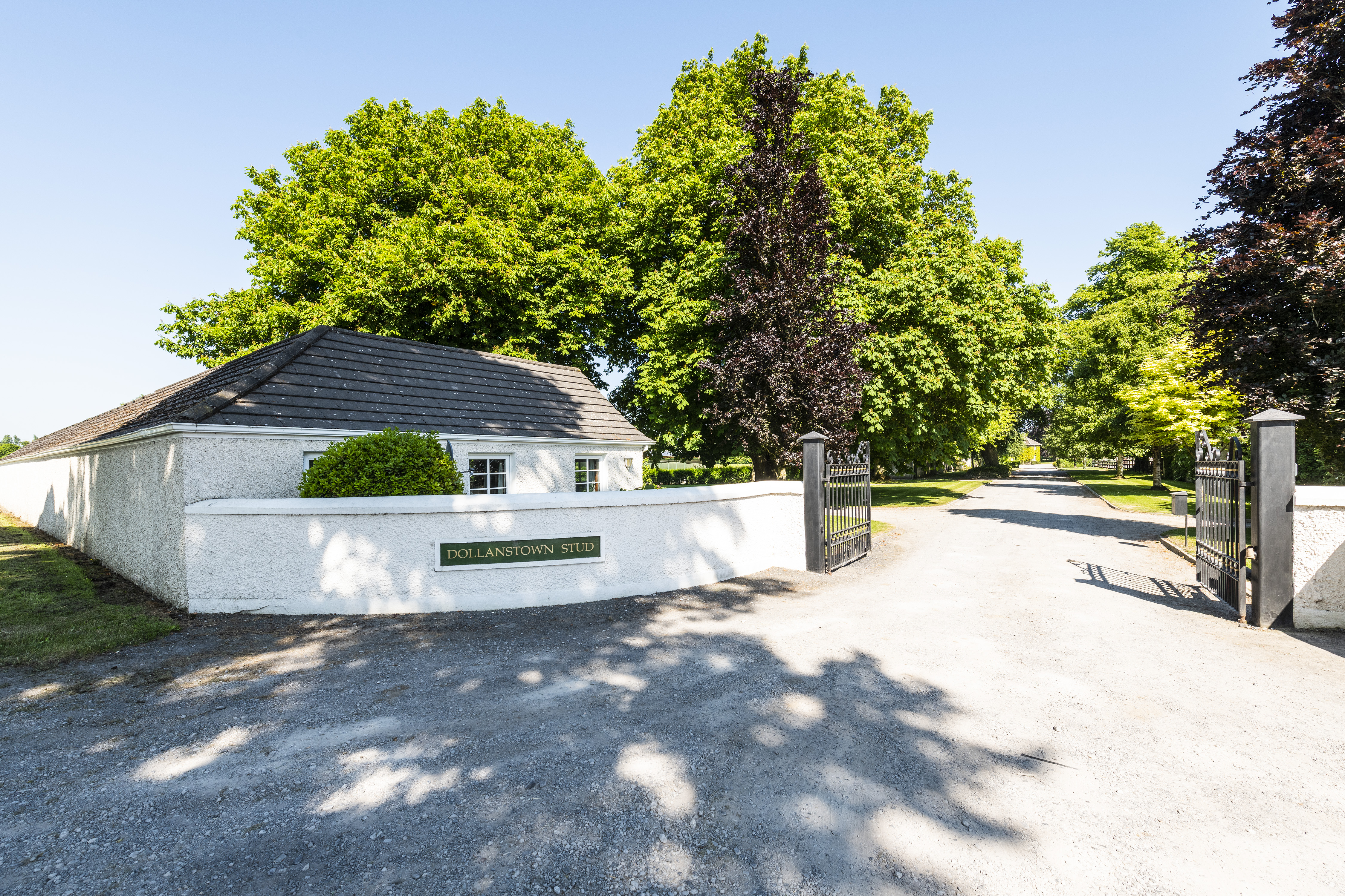 Dollanstown-34.jpg