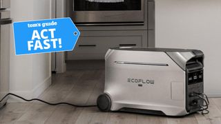 EcoFlow Delta Pro 3 with Act Fasr badge nearby.