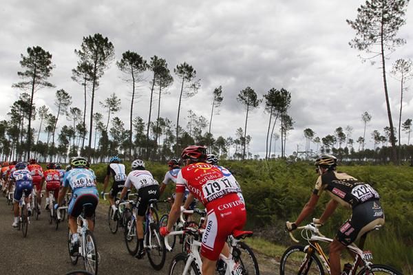 The bunch head towards the finish for the sprint finish