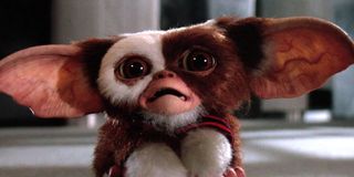 Gizmo from Gremlins 2: The New Batch
