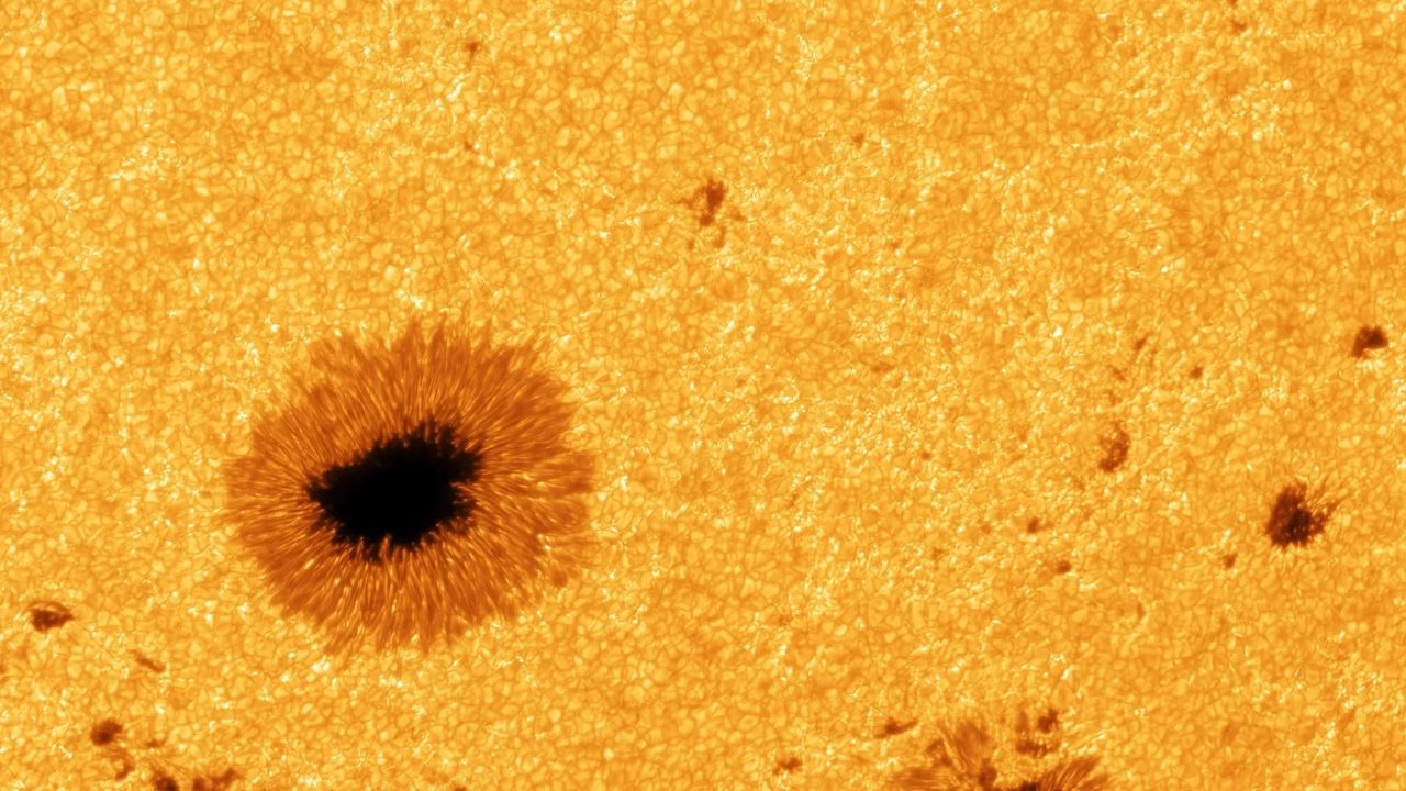 a fuzzy-looking sea of yellow and orange splotches with several large black splotches throughout