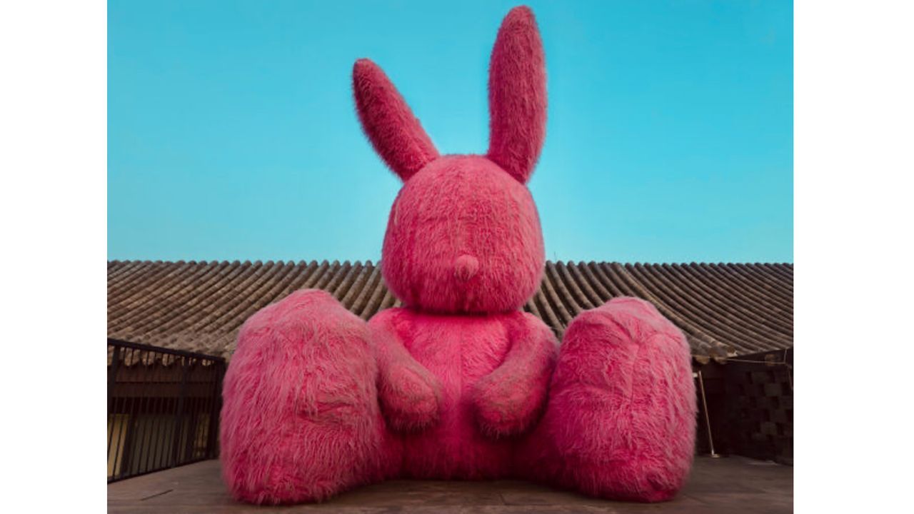 IPPAWARDS - Shuo Li - Giant Magenta vs Gradient Blue