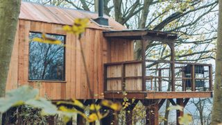 Wild Escapes treehouses