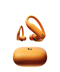 Beats Powerbeats Pro 2