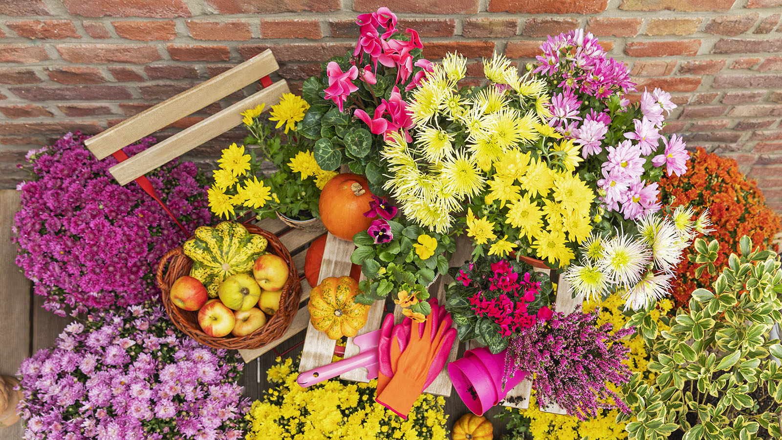 Colorful fall flower and pumpkin arrangement on terrace, with seat and orange gloves visible