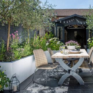 Gardening dining table with wicker chairs next to a white raised planter planted with olive trees and festoon lights strung above