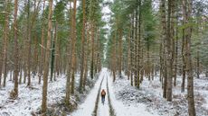 Cyclist riding along a snowy trail on Christmas